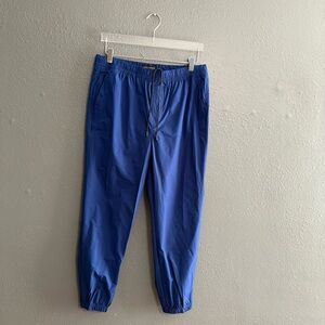 Banana Republic Cobalt Blue Joggers Size M